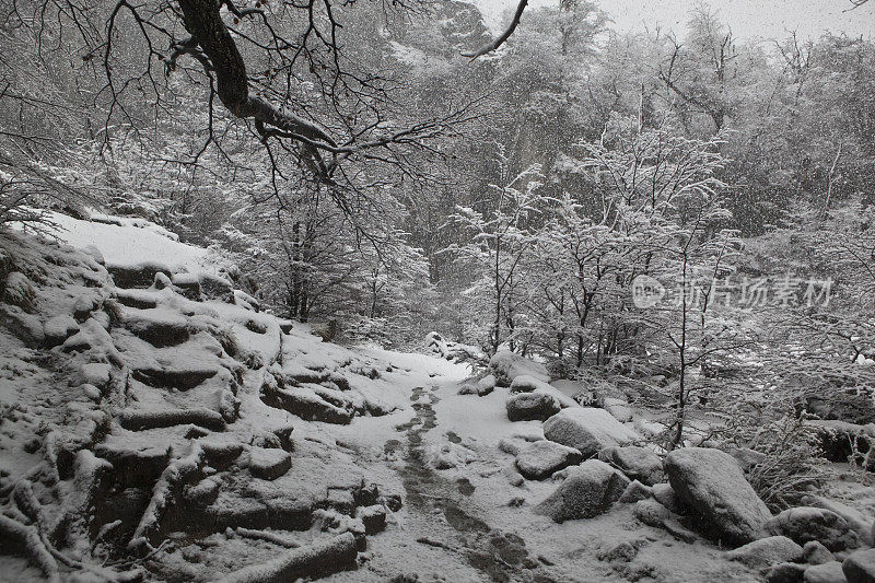 Los Glaciares国家公园降雪